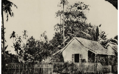 Papeete, maison de Gustave Viaud