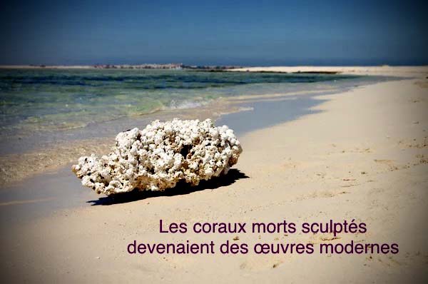 3-CorauxSculptes
