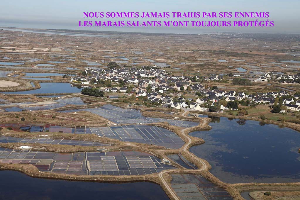 1-MaraisLaBaule