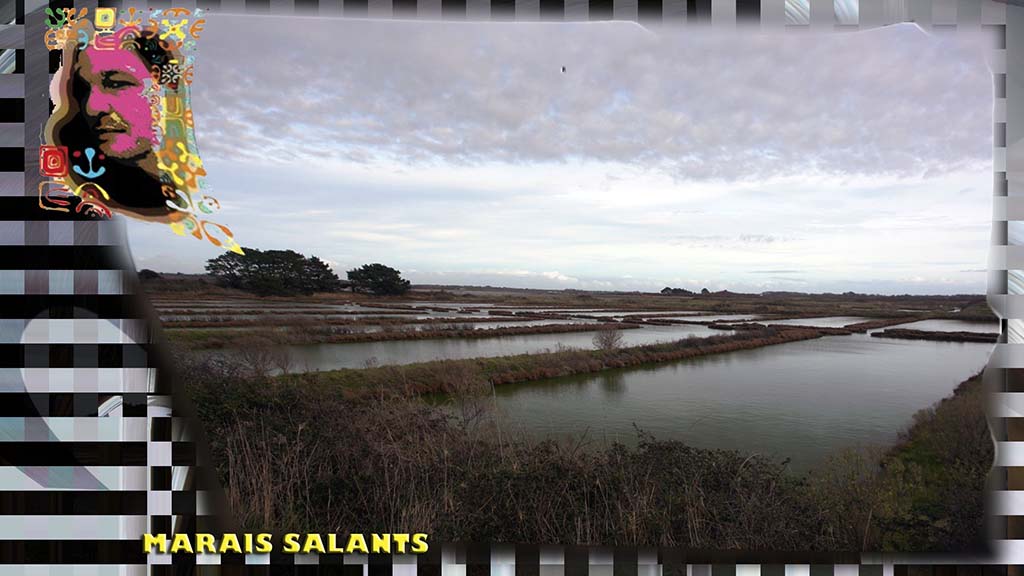 1-MaraisSalants